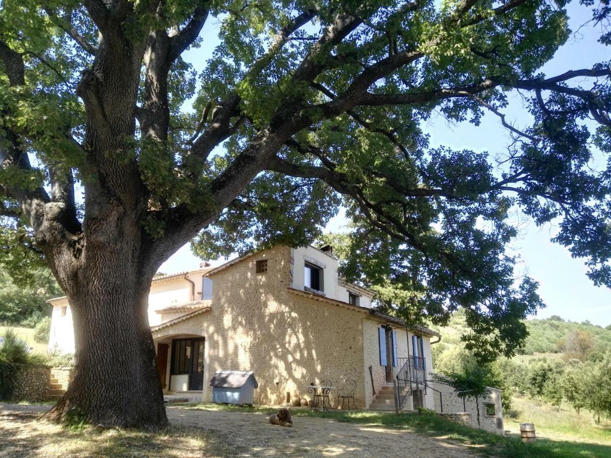 Maison D'Hotes Du Grand Chene Valensole Exterior foto